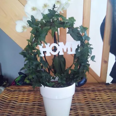 Holiday Rue Pasteur Nyaraló